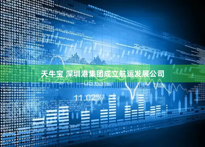 天牛宝 深圳港集团成立航运发展公司