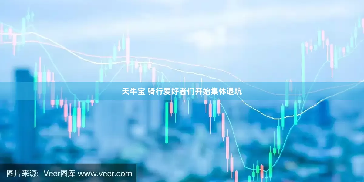 天牛宝 骑行爱好者们开始集体退坑