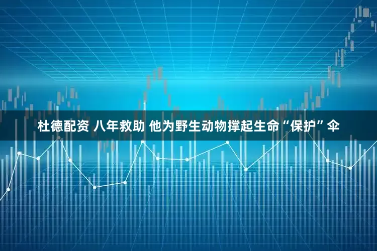 杜德配资 八年救助 他为野生动物撑起生命“保护”伞