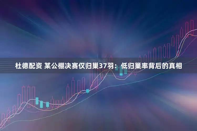 杜德配资 某公棚决赛仅归巢37羽：低归巢率背后的真相